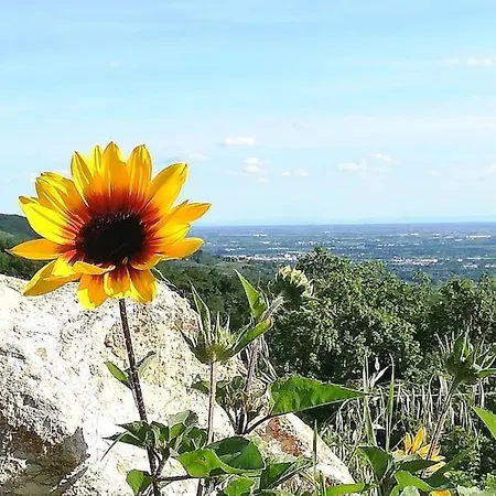 Ca Montemezzano 3* Verona