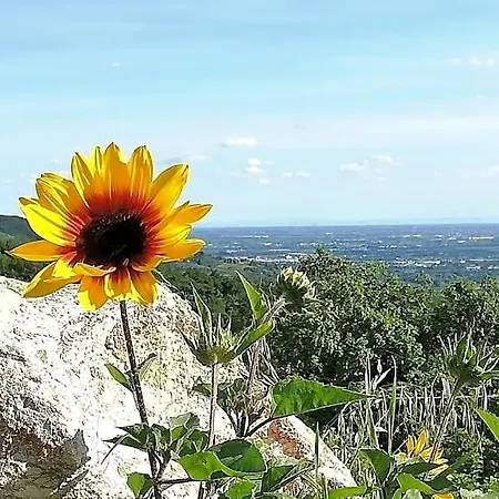 Nocleg ze śniadaniem Ca Montemezzano 3*