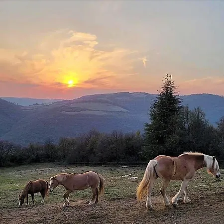 Ca Montemezzano Bed and Breakfast 3*