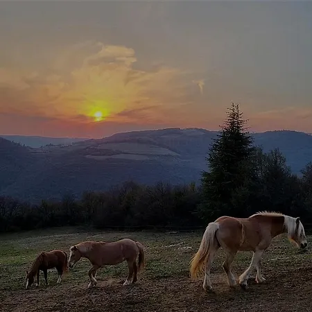 Ca Montemezzano לינה וארוחת בוקר