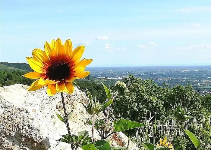Ca Montemezzano 3* ורונה